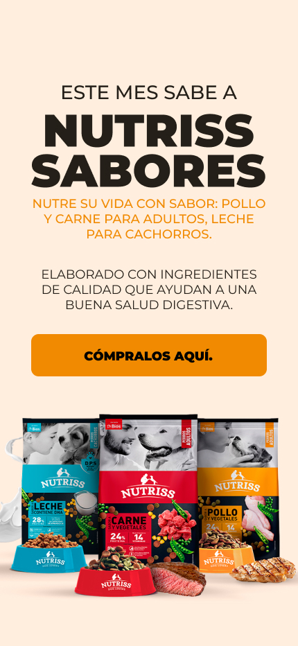 BNP - NUTRISS SABORES 2026